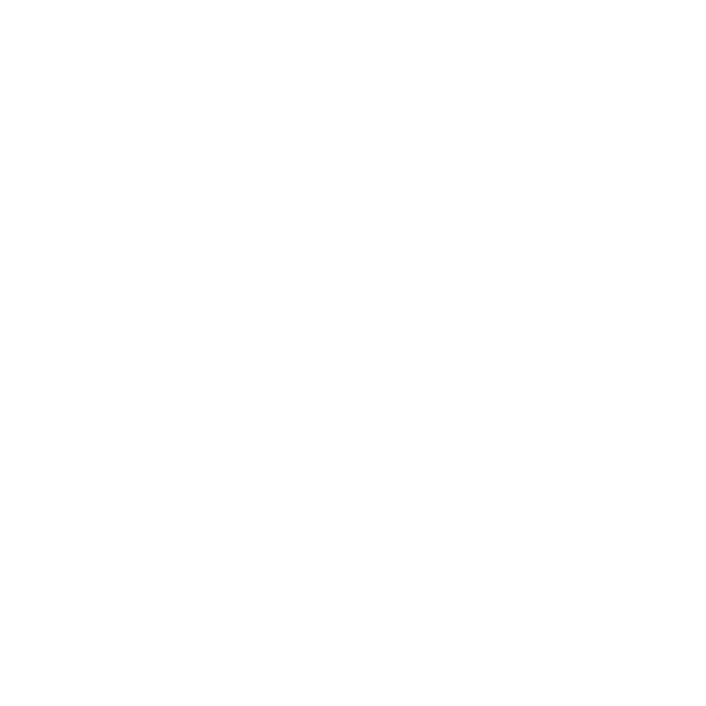 logo_neelevat_white